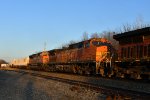 BNSF 5081 Roster